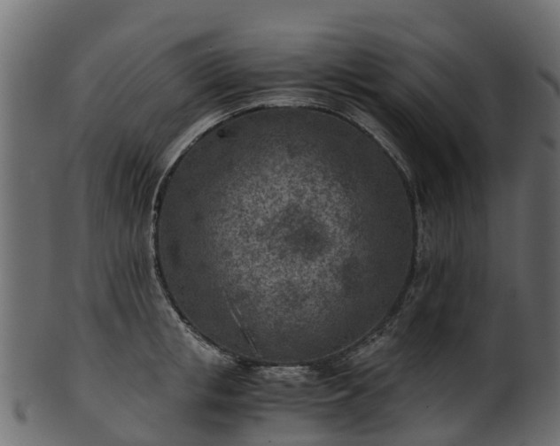 X0000101110853200807031738