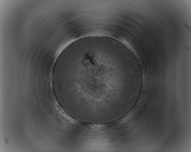 X0000101110854200807031738