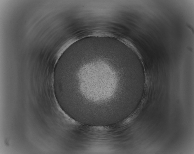 X0000101110855200807031738