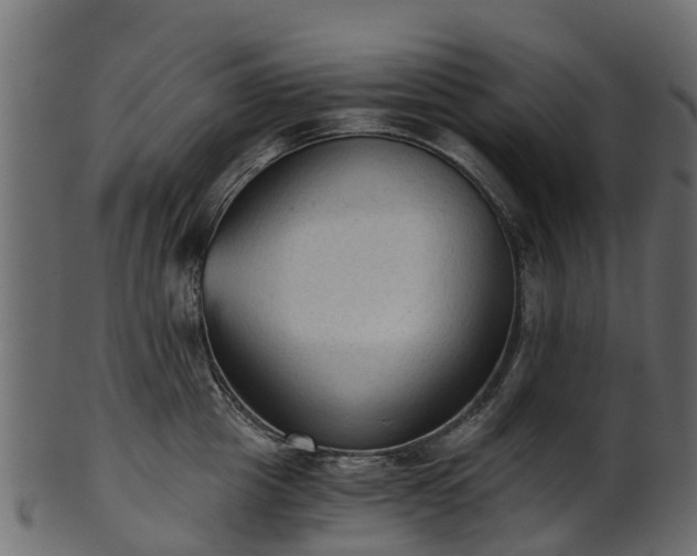 X0000101110857200807031738