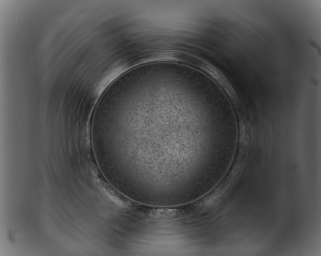 X0000101110858200807031738