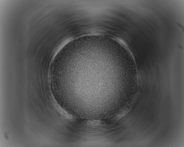 X0000101110859200807031738