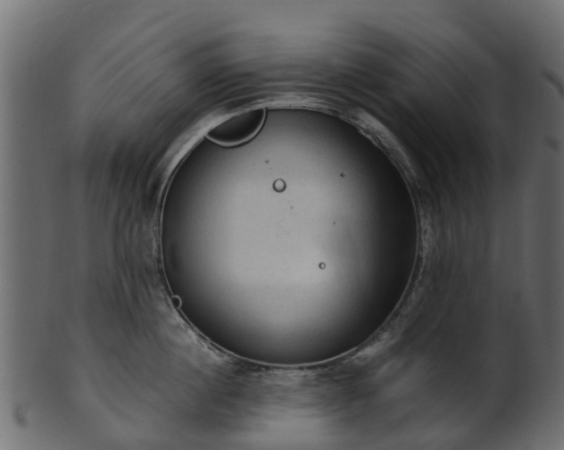X0000101110860200807031738