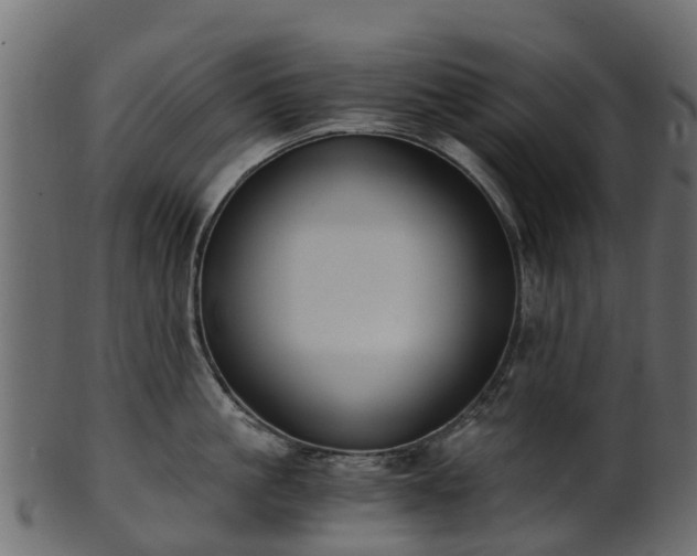 X0000101110861200807031738