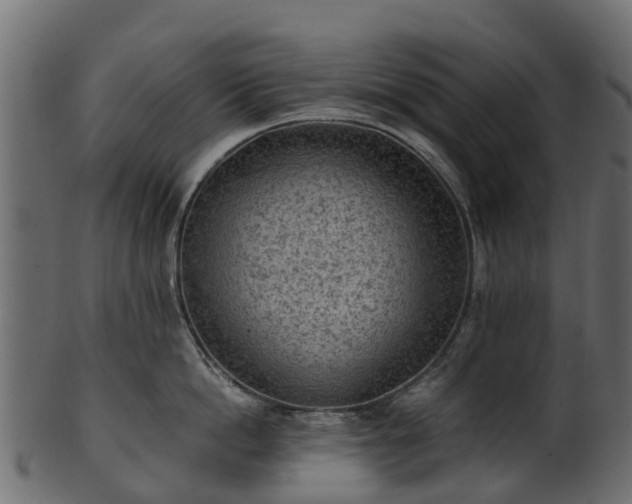 X0000101110862200807031738