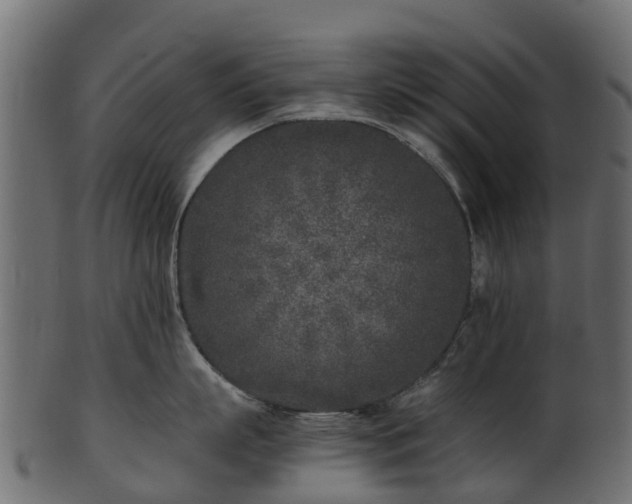 X0000101110863200807031738