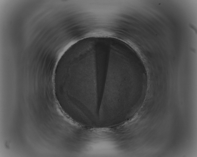 X0000101110864200807031738