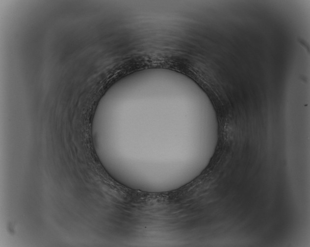 X0000101110865200807031737