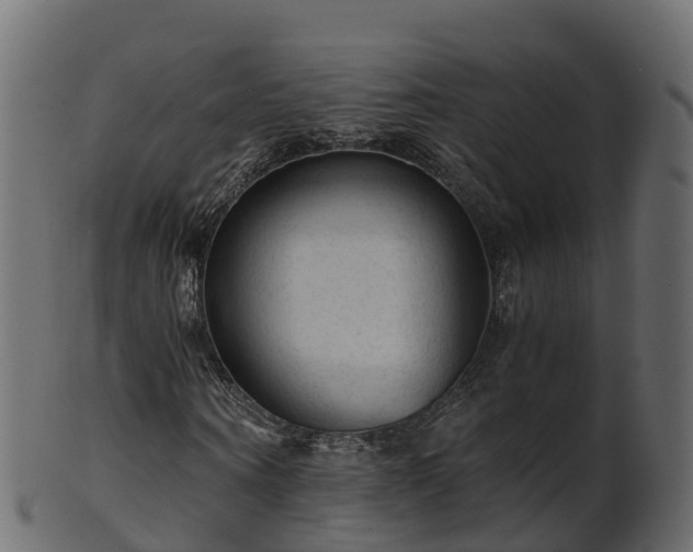 X0000101110866200807031737