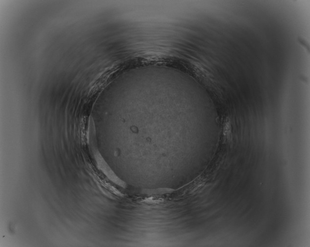 X0000101110868200807031737