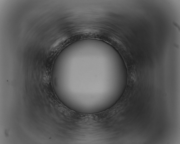 X0000101110869200807031737
