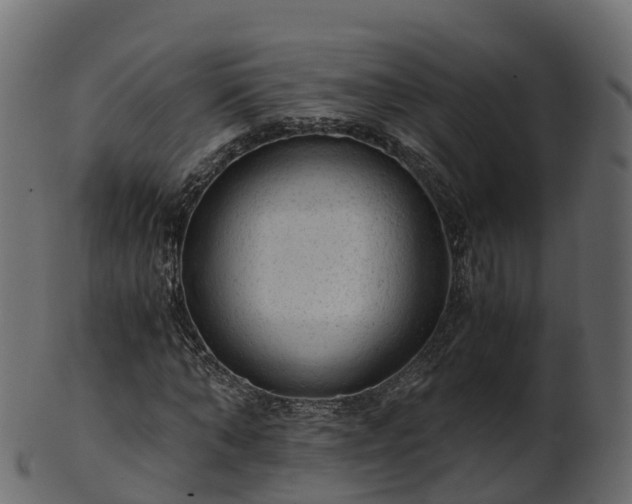 X0000101110870200807031737