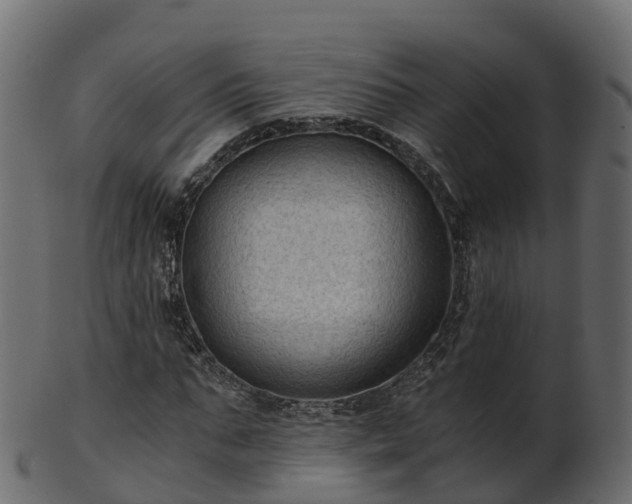 X0000101110871200807031737