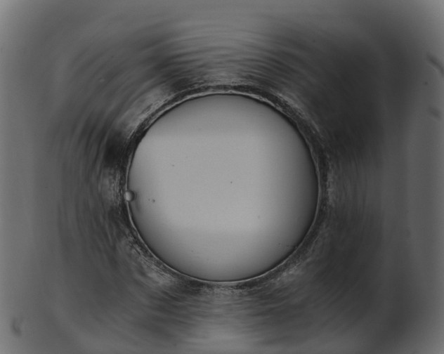 X0000101110873200807031737