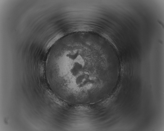 X0000101110874200807031737