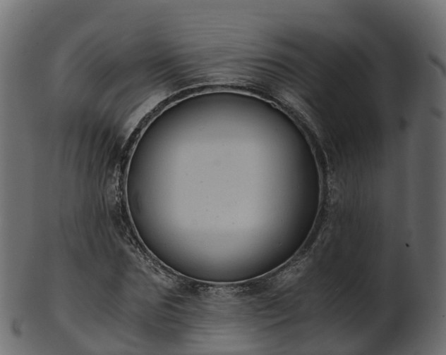 X0000101110875200807031737