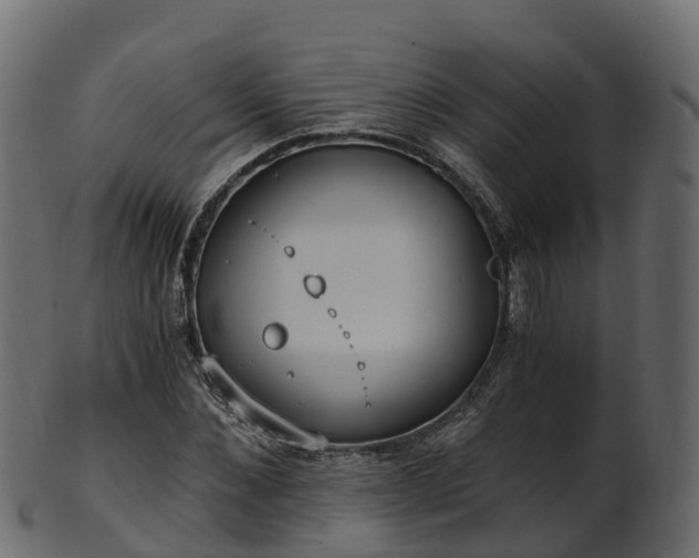 X0000101110876200807031737
