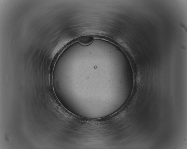 X0000101110877200807031737