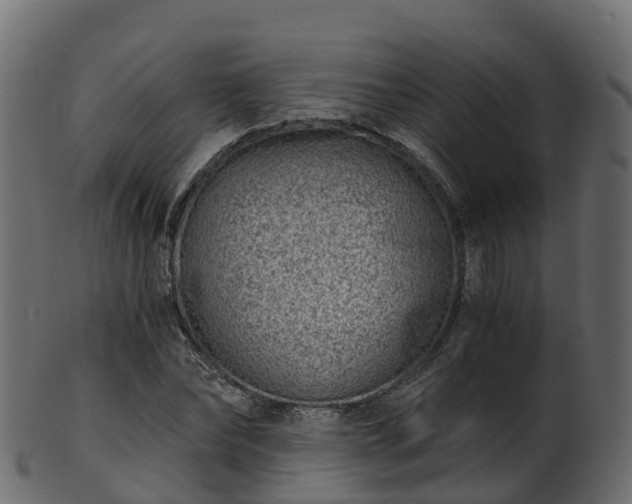 X0000101110878200807031737