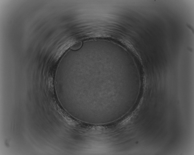 X0000101110881200807031737