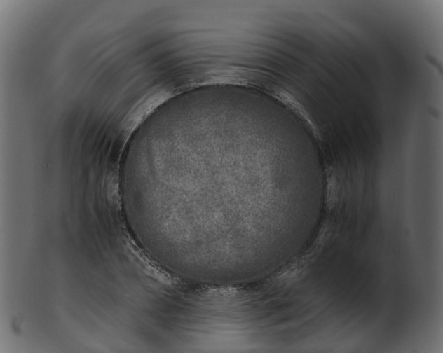 X0000101110882200807031737