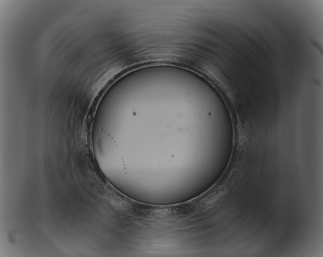 X0000101110883200807031737