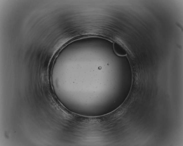 X0000101110884200807031737