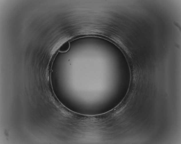 X0000101110885200807031737