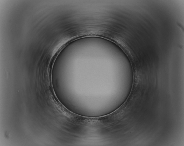 X0000101110886200807031737