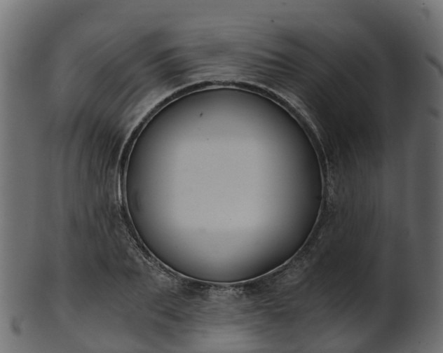 X0000101110887200807031737
