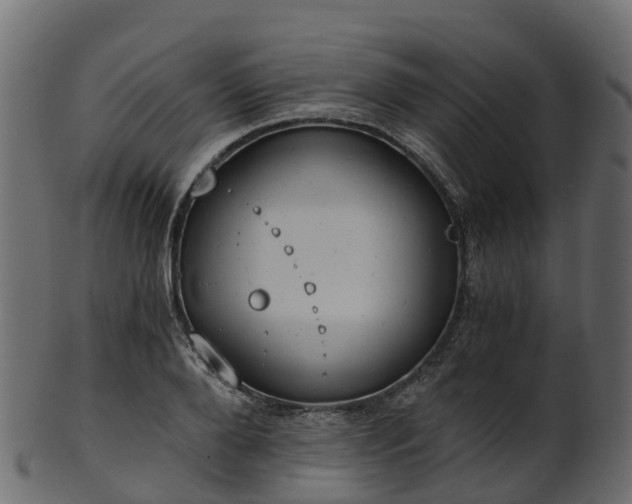X0000101110888200807031737
