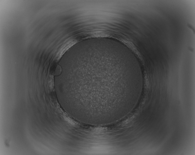 X0000101110889200807031737