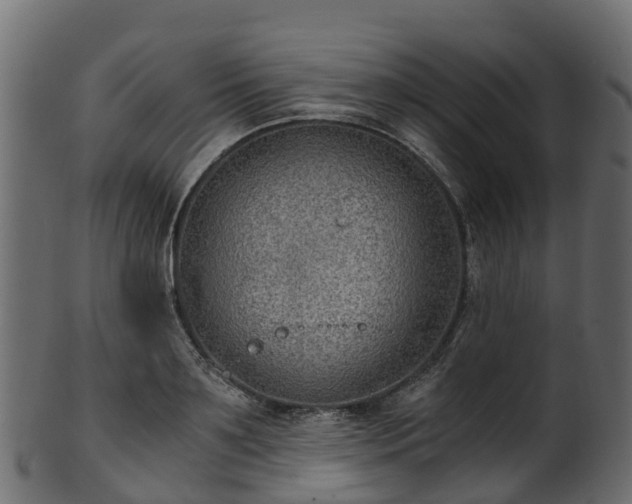 X0000101110891200807031737