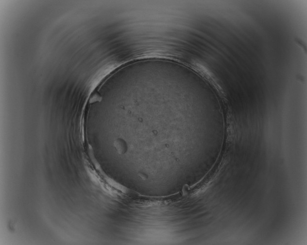 X0000101110892200807031737