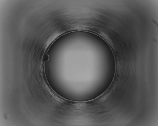 X0000101110893200807031737