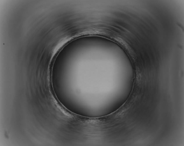 X0000101110894200807031737