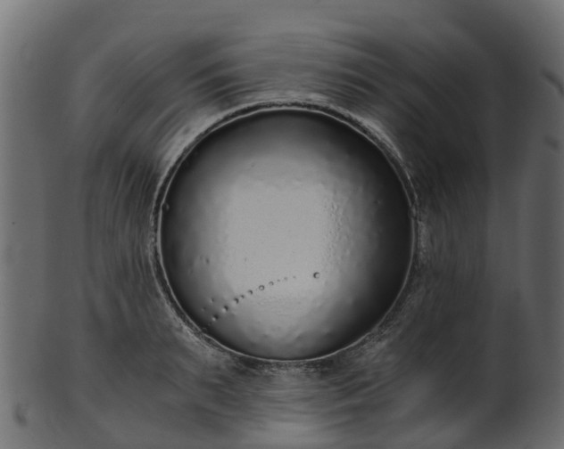 X0000101110895200807031737