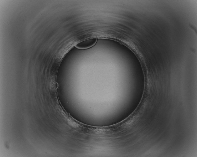 X0000101110897200807031737
