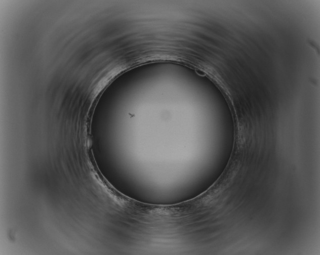 X0000101110898200807031737