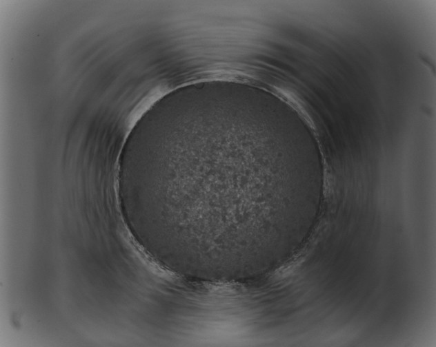 X0000101110899200807031737