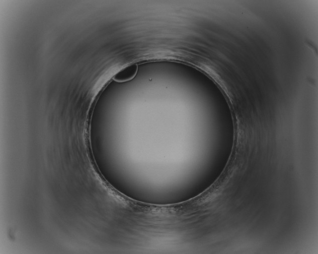 X0000101110901200807031737
