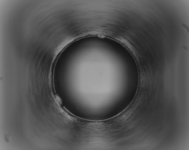 X0000101110902200807031737