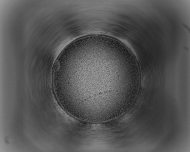 X0000101110903200807031737
