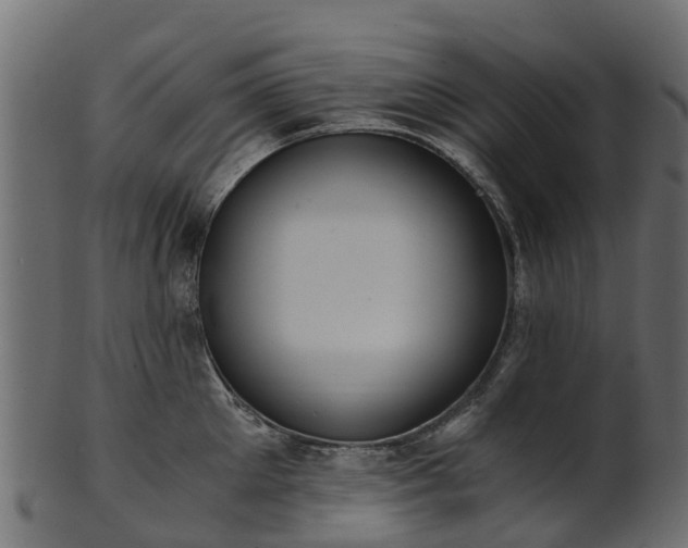 X0000101110905200807031737