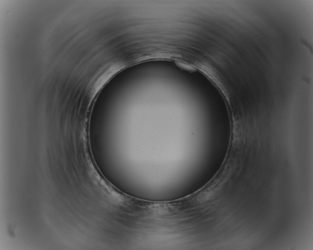 X0000101110906200807031737