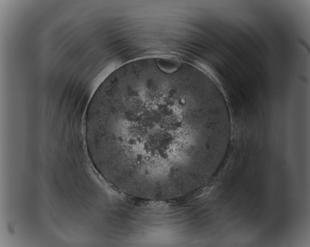 X0000101110907200807031737