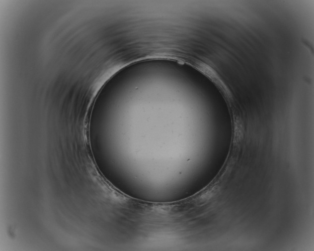 X0000101110908200807031737