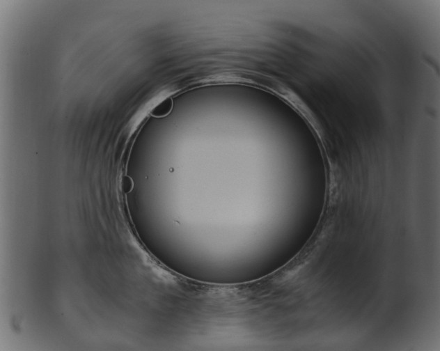 X0000101110909200807031737