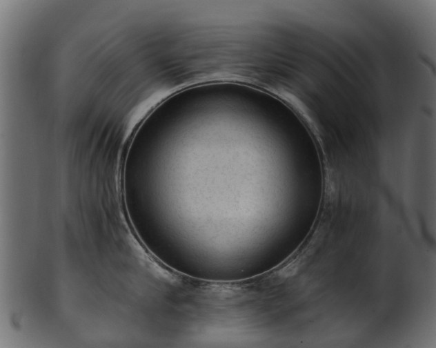 X0000101110910200807031737