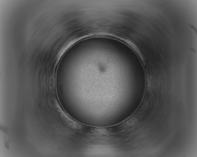 X0000101110911200807031737